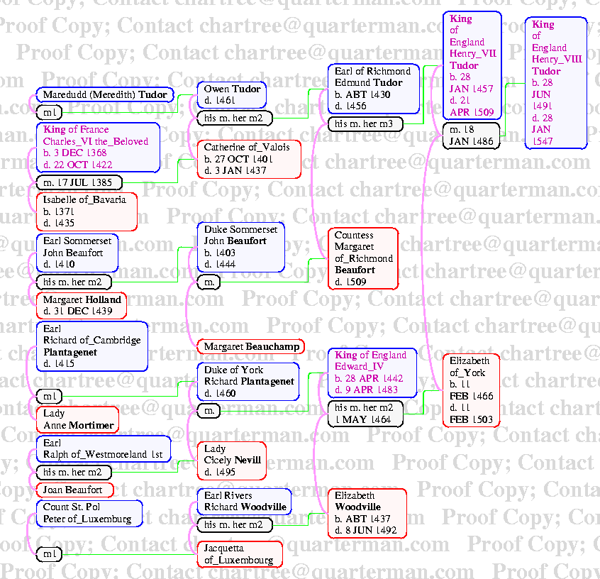 [Page 24 Pedigree of Henry VIII]